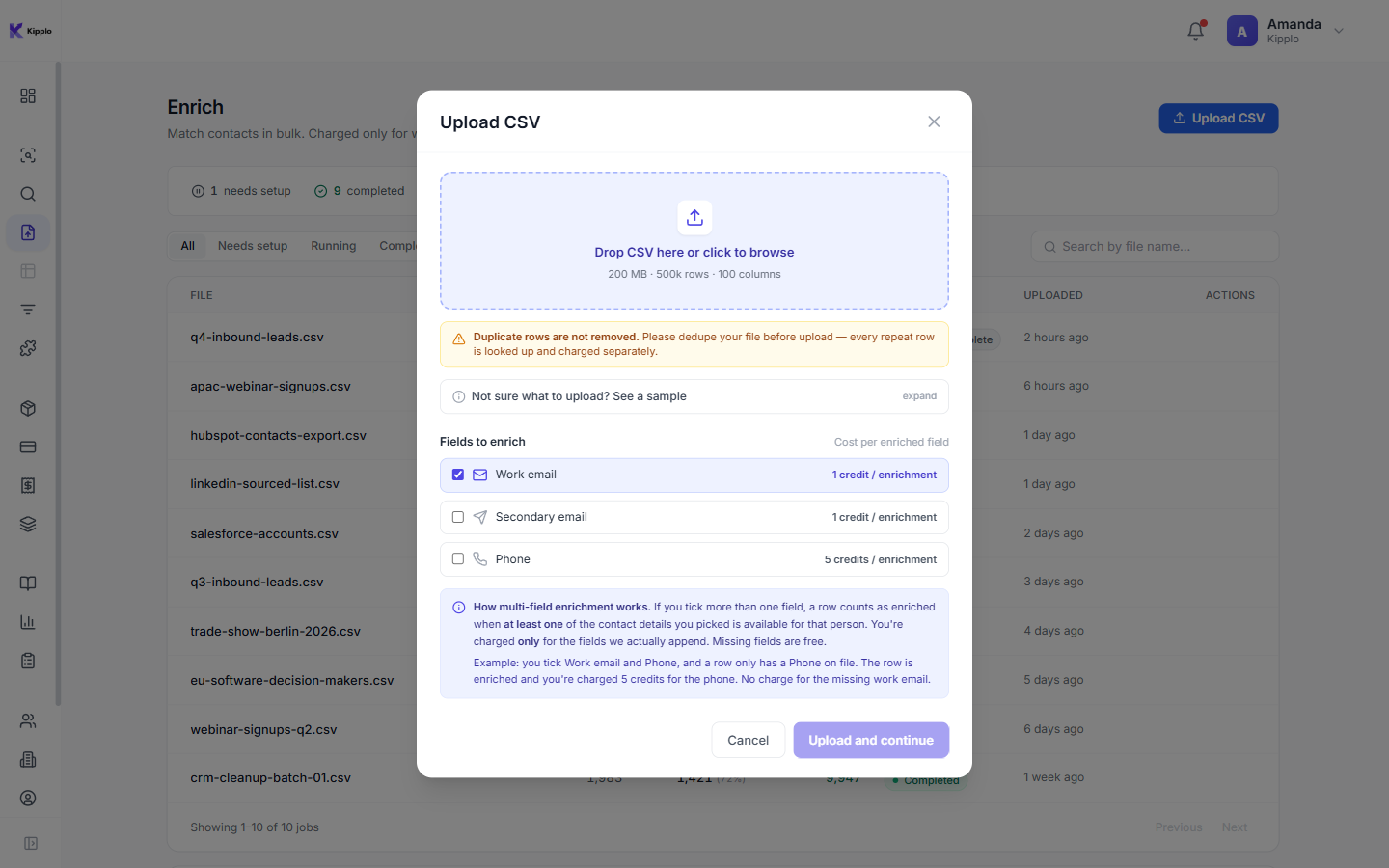Upload dialog showing file limits, the de-dup warning, and per-field credit pricing