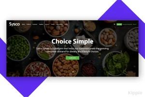 Sysko B2B sales example